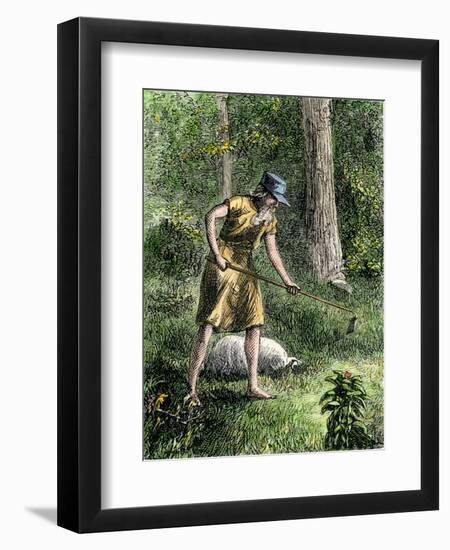 Johnny Appleseed Planting Apple Trees in the Ohio Wilderness-null-Framed Giclee Print
