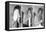 Johnny Hallyday, Backstage-null-Framed Stretched Canvas