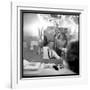 Johnny Hallyday Looking at Himself in a Mirror, Backstage-Marcel DR-Framed Photographic Print