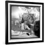 Johnny Hallyday Looking at Himself in a Mirror, Backstage-Marcel DR-Framed Photographic Print