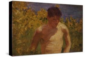 Johnny Jackett-Henry Scott Tuke-Stretched Canvas