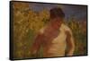 Johnny Jackett-Henry Scott Tuke-Framed Stretched Canvas