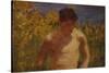 Johnny Jackett-Henry Scott Tuke-Stretched Canvas