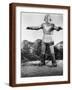 Brown Frame