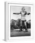 White Frame