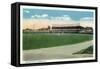 Johnson City, New York, View of Johnson Baseball Field-Lantern Press-Framed Stretched Canvas