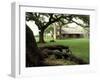 Johnson Homestead, LBJ National Historic Park, Johnson City, Texas, USA-Adam Jones-Framed Photographic Print