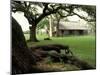 Johnson Homestead, LBJ National Historic Park, Johnson City, Texas, USA-Adam Jones-Mounted Photographic Print