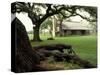 Johnson Homestead, LBJ National Historic Park, Johnson City, Texas, USA-Adam Jones-Stretched Canvas