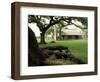 Johnson Homestead, LBJ National Historic Park, Johnson City, Texas, USA-Adam Jones-Framed Photographic Print