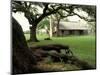 Johnson Homestead, LBJ National Historic Park, Johnson City, Texas, USA-Adam Jones-Mounted Photographic Print