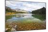 Johnson Lake Scenic, Banff, Canada-George Oze-Mounted Photographic Print