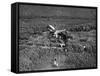 Johnson's Plane Crash-null-Framed Stretched Canvas