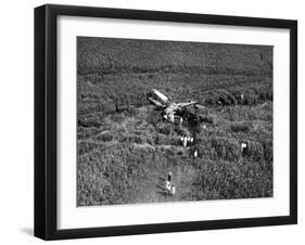 Johnson's Plane Crash-null-Framed Photographic Print