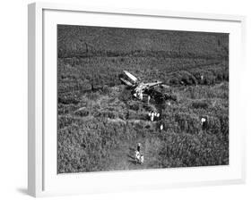 Johnson's Plane Crash-null-Framed Photographic Print