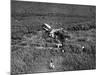 Johnson's Plane Crash-null-Mounted Photographic Print