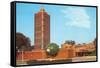 Johnson Wax Building, Racine, Wisconsin-null-Framed Stretched Canvas