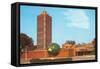 Johnson Wax Building, Racine, Wisconsin-null-Framed Stretched Canvas