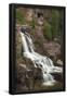 Essential Black