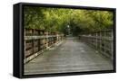 Framed Canvas