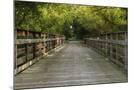 Wood Mount