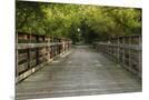 Wood Mount