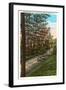 Johnston Drive, North Plainfield, New Jersey-null-Framed Art Print