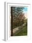 Johnston Drive, North Plainfield, New Jersey-null-Framed Art Print