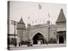 Johnstown Flood, Coney Island, N.Y.-null-Stretched Canvas