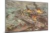 Johnstown Flood-null-Mounted Art Print