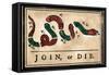 Join Or Die Cartoon, 1754-null-Framed Stretched Canvas