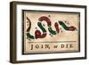 Join Or Die Cartoon, 1754-null-Framed Giclee Print