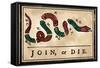 Join or Die Cartoon, 1754-null-Framed Stretched Canvas