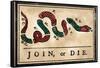 Join or Die Cartoon, 1754-null-Framed Stretched Canvas