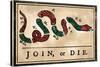 Join or Die Cartoon, 1754-null-Stretched Canvas