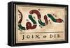 Join or Die Cartoon, 1754-null-Framed Stretched Canvas