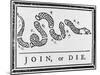 Join or Die-null-Mounted Photographic Print