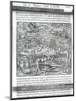 Jointing a Whale, from "Cosmographie Universelle" by Andre Thevet, 1575-Andre Thevet-Mounted Giclee Print