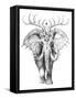 Framed Canvas