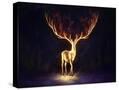 Stretched Canvas