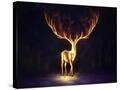 Stretched Canvas