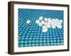 Joke: Eggs (Eggs on a Green Carpet)-Casorati Felice-Framed Giclee Print