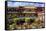 Jokhang Temple, Lhasa, Tibet, China-Ivan Vdovin-Framed Stretched Canvas