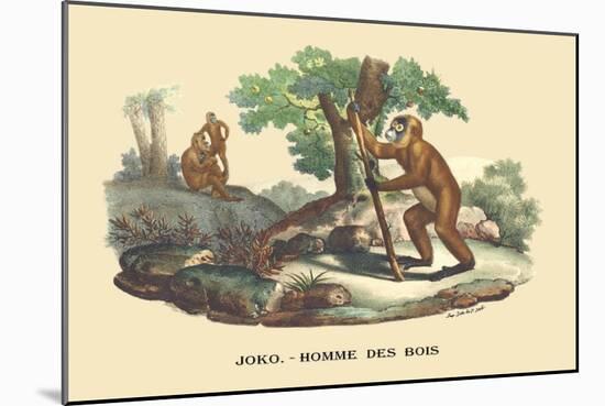 JOKO, Homme des Bois-E.f. Noel-Mounted Art Print