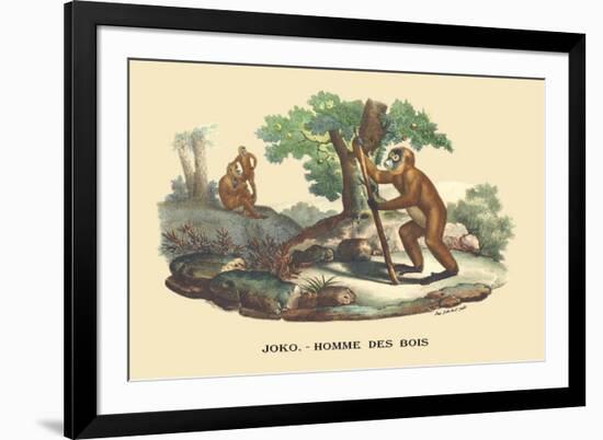 JOKO, Homme des Bois-E.f. Noel-Framed Art Print