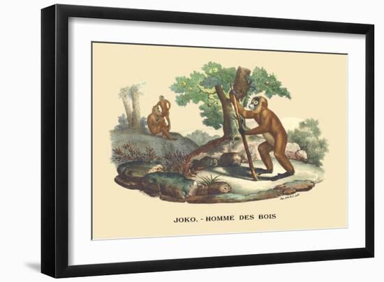 JOKO, Homme des Bois-E.f. Noel-Framed Premium Giclee Print