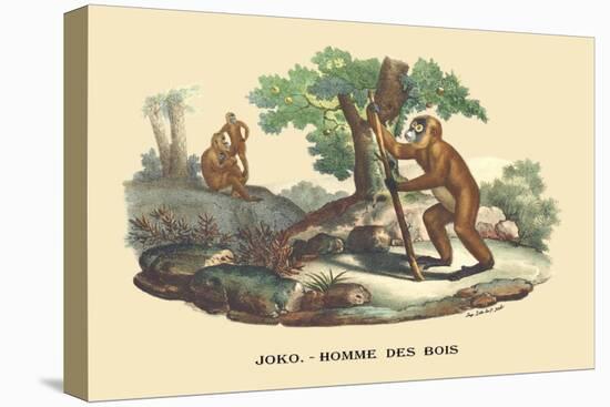 JOKO, Homme des Bois-E.f. Noel-Stretched Canvas