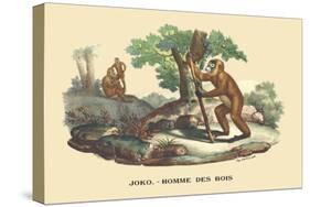 JOKO, Homme des Bois-E.f. Noel-Stretched Canvas