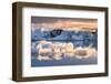 Jokulsarlon Glacier Lagoon, Iceland. Blocks of Ice Floating in the Lagoon at Sunset.-Marco Bottigelli-Framed Photographic Print