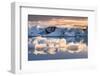 Jokulsarlon Glacier Lagoon, Iceland. Blocks of Ice Floating in the Lagoon at Sunset.-Marco Bottigelli-Framed Photographic Print